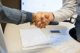 Digital signering i Taloinfo